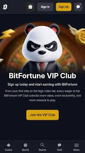 Mastering Live Baccarat Strategy at Bitfortune -1318671996