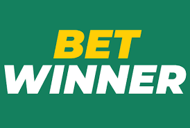 BetWinner Casino Your Ultimate Gaming Destination