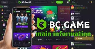 Discovering the Excitement of BC.Game Hub