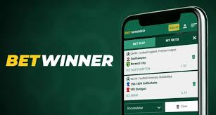 Comprehensive Guide to BetWinner Registration -822379448